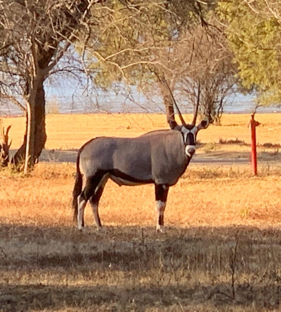 3 Bedroom Property for Sale in Lakeland North West